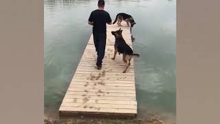 Funny Compilation Funny Fails #1.