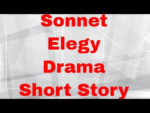 The Story Video