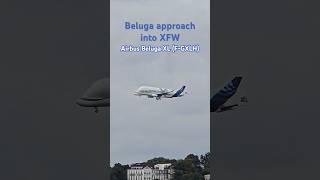 Airbus Beluga Xl Approach Into Hamburg Finkenwerder Xfw