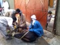 bakra eid qurbani 2011
