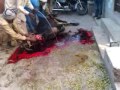 bakra eid qurbani 2011