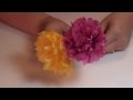 Tissue Paper Carnation Flower