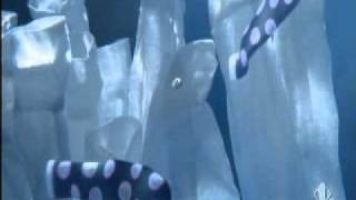 Spot Hotpoint Ariston - 2010