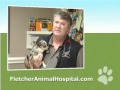 Fletcher Animal Hospital - Fletcher, NC