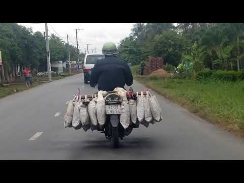 yeudulichvungtau: nu sinh Mien Tay ao dai trang quan den 19 11 2017