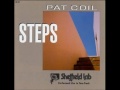 Pat Coil - The Way It Looks From Here