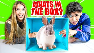 WHAT'S IN THE BOX CHALLENGE  | Lexi Rivera & Andrew Davila