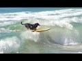 Surfing Dogs