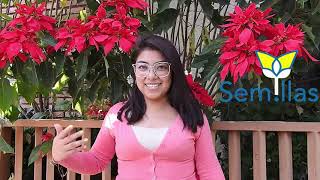 Testimonios de Voluntarios del Festival Semillas 2019 - Elider Acosta -