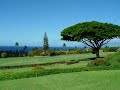 The Masters #3203 - Kaanapali Maui Hawaii