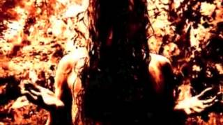 Marduk - Throne Of Rats