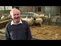The Story of Dolly the Cloned Sheep - Retro Report