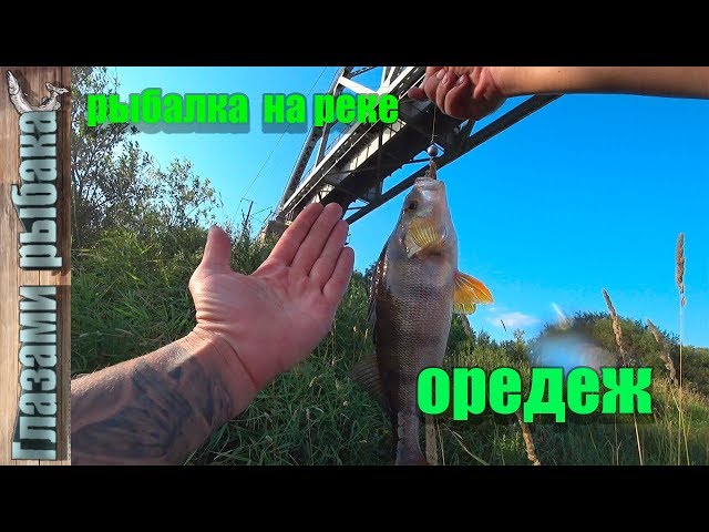 Рыбалка на реке Оредеж.