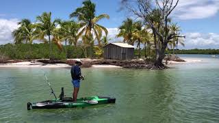 Gamefish 325