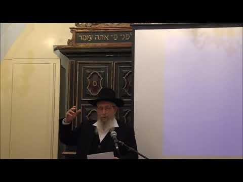 חידוש שירת הלויים בדורנו - הרב ישראל אריאל שליט"א