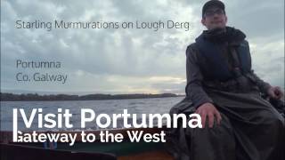 Visit Portumna - Murmurations Galway - Lough Derg, Discover Ireland