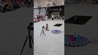 This Little Girl Knocked Down A Domino Tower