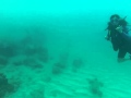 Scuba Diving at Turtles - South Shore, Oahu, Hawaii - November 11, 2012