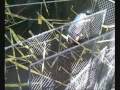Frosh Pranks | RM. Frosh Pranks | RM.