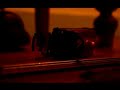 ILikeTrains - The Beeching Report