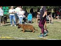 Победитель класса беби Краснодар*19