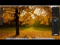 pixelmator 2 tutorial