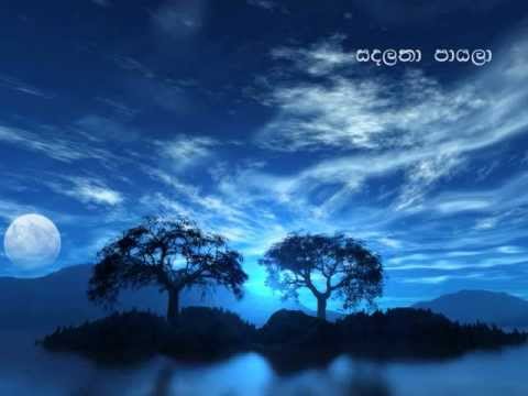 Sanda latha payala... (සඳලතා පායලා) by Keerthi...