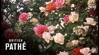The Royal Tour Of India - Reel 3 (1961)