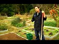 Garden tips