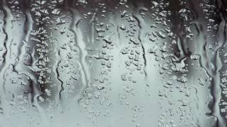 Rain Showers Nature Sounds White Noise Rain Showers Nature Sounds White Noise