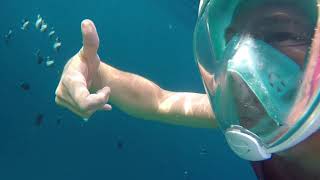 Maldives 2018