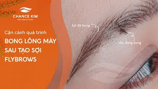 Cận Cảnh Quá Trình Bong Lông Mày Flybrows Sau Tạo Sợi