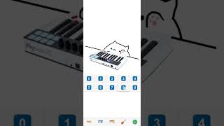 Practicing Piano With Bongo Cat