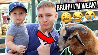 This Is What Happens When You Take A Crazy Smart Baby To The Petting Zoo Hilarious