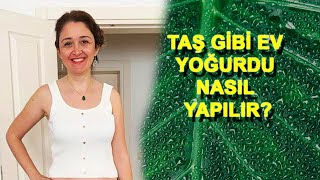 EV YOĞURDU VE ÇOK SAĞLIKLI SÜT KONSERVESİ NASIL YAPILIR? Lezzetli Taş Gibi Ev Yo