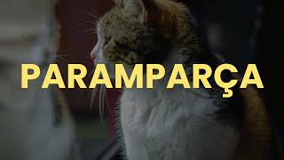 Halil Sezai - Paramparça - Progressive Electronic Version - Kedi Fm