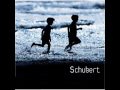 2.Franz Schubert D. 887 Last Quartet No. 15 in G major II. Movement