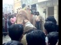 rizwan camel qurbani of multan