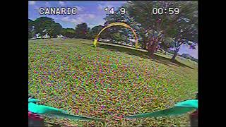 Betaflight 4.0 Practice Gate