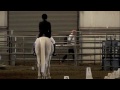 view Pony