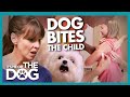Victoria SHOCKED by Lack of Concern When Child Bitten by Dog | It's Me or the Dog