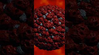 What Happens To Your Body After 24 Hours Of Fasting Rn Explains 123