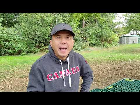 Cách chống dịch của VN làm người dân chết chóc nhiều hơn, lụn bại kinh tế, xã hội rối loạn
