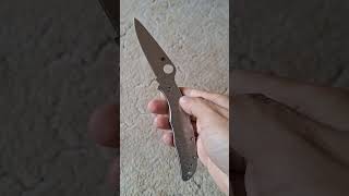 Spyderco Endura 4 Stainless C10P