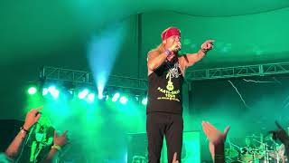 Watch Bret Michaels Look What The Cat Dragged In video