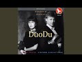 Duo For Violin And Viola In Bb Major, Kv 524. Tema: Andante Grazioso