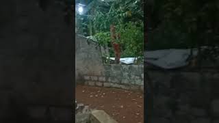 Detik Detik Keluar Pocong Dari Kuburan Tua