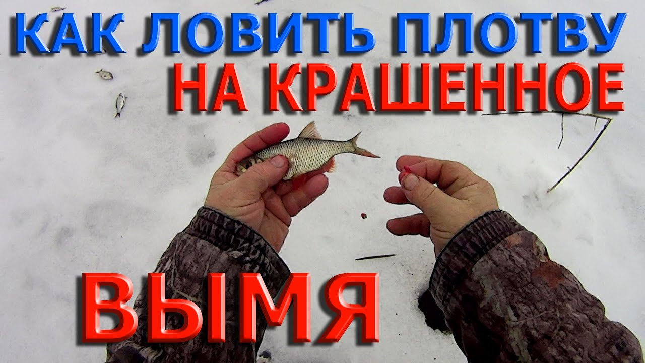 Как ловить плотву ютуб Как ловить плотву ютуб