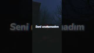 Super Sevgiyə Aid Qemli Şeirlər Status Üçün Video2021