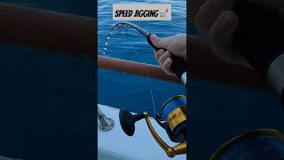Nice Almaco On The Knife Jig